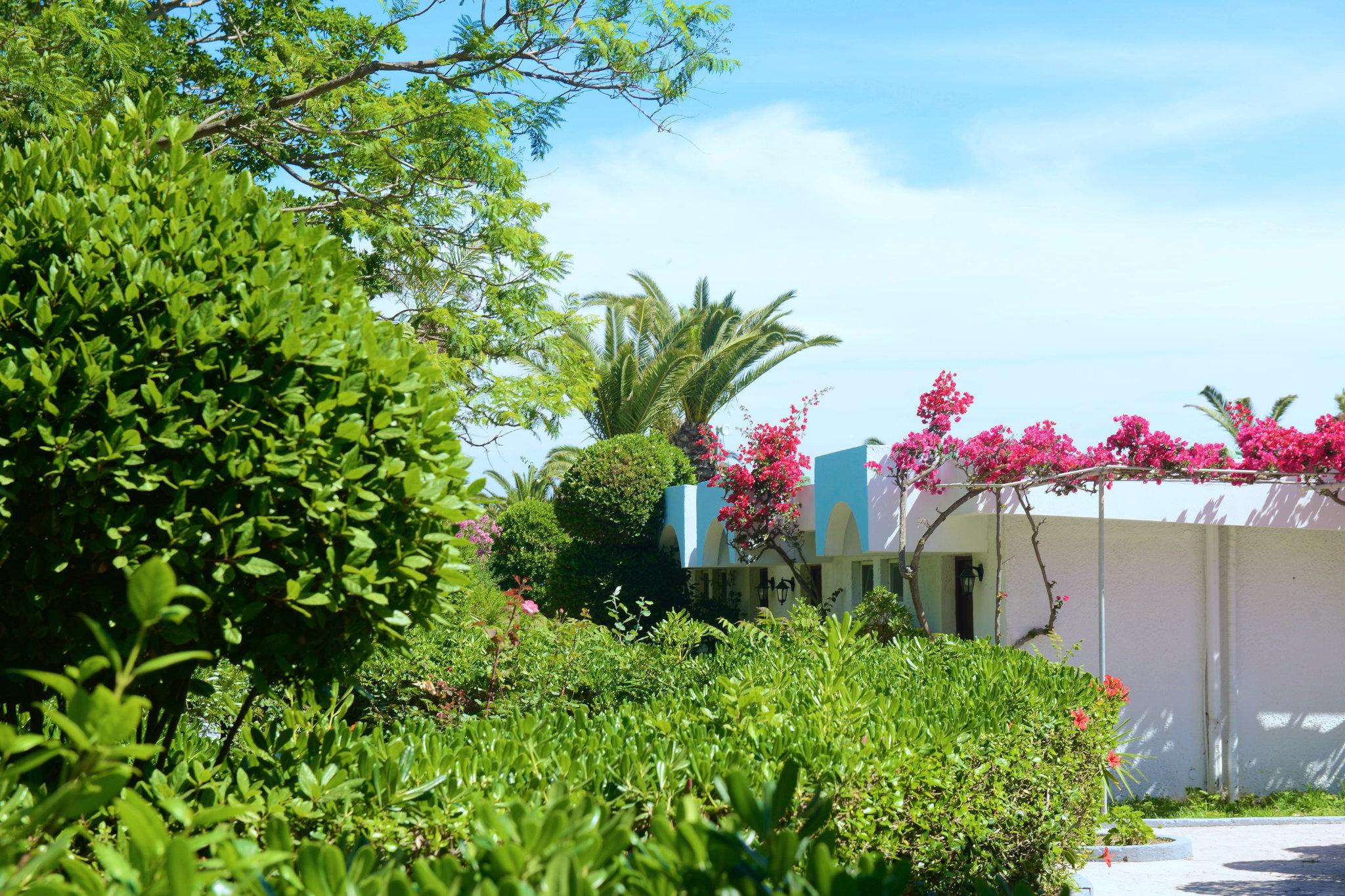 Blue Horizon Hotel เอียลิซอส ภายนอก รูปภาพ